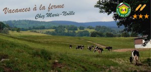 fermemarie-noelleschrutt