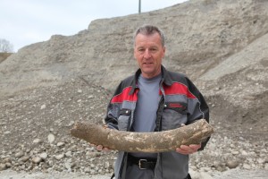 Peter Honauer mit Mammutstosszahn